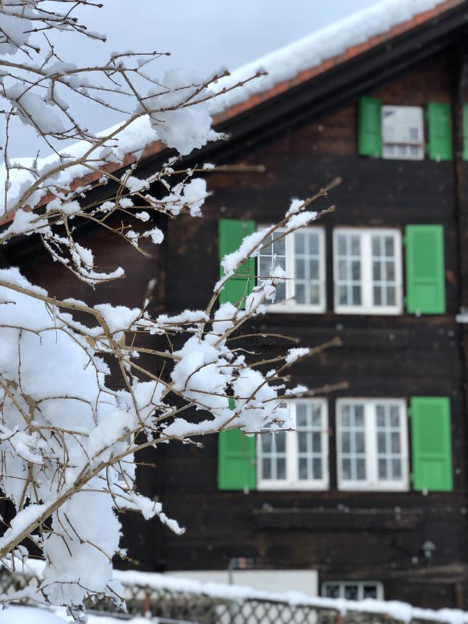 Ferienwohnung Chalet Pironnet With Best Views, Charm And Comfort! Lauterbrunnen Exterior foto