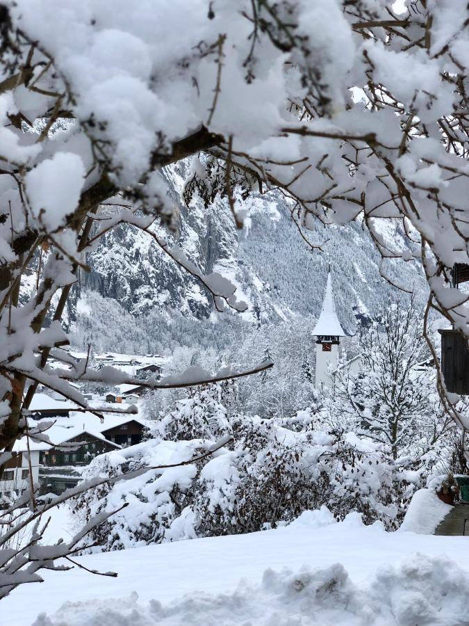 Ferienwohnung Chalet Pironnet With Best Views, Charm And Comfort! Lauterbrunnen Exterior foto